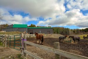 Equestrian Centre