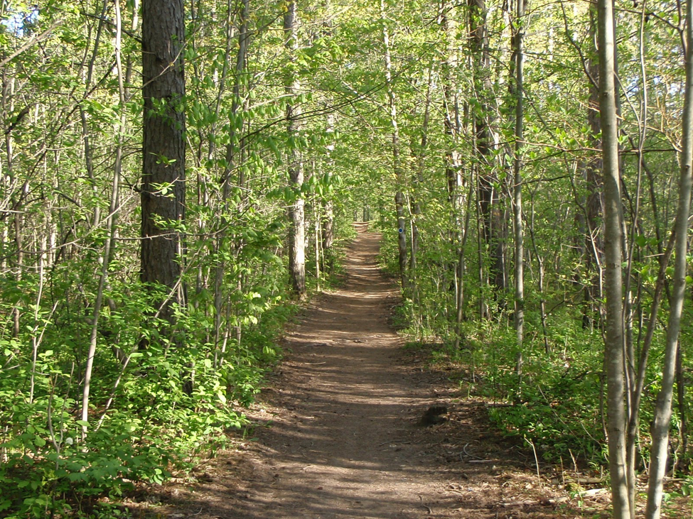 HIKING TRAILS